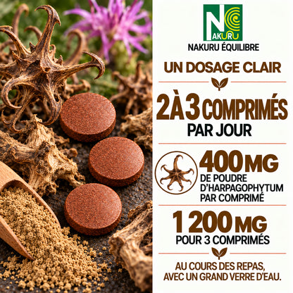 NAKURU Harpagophytum — 90 comprimés — Dosage