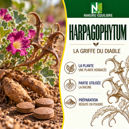 NAKURU Harpagophytum — 90 comprimés — Présentation