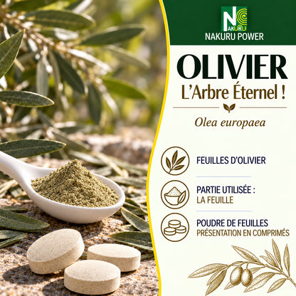 NAKURU Olivier — 500 comprimés — Présentation