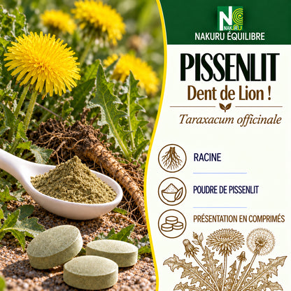NAKURU Pissenlit — 90 comprimés — Présentation