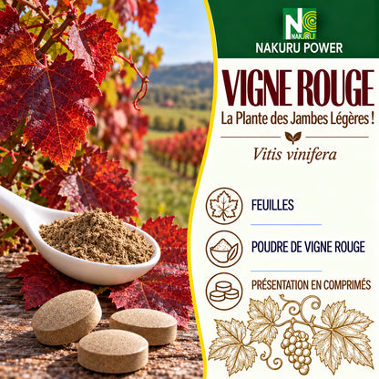 NAKURU Vigne Rouge — 450 comprimés — Présentation